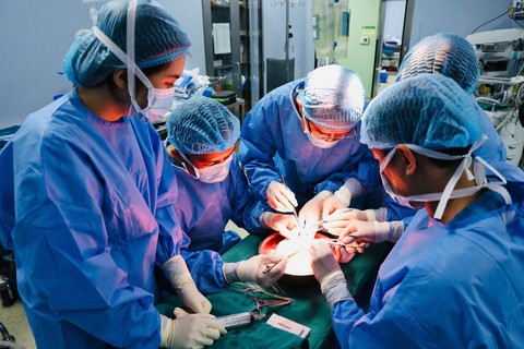 Sự sống hồi sinh trong ngày kỷ niệm 50 năm thống nhất đất nước - Ảnh 2.