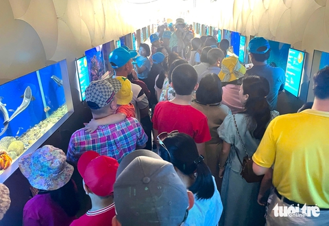 Nhiều tuyến đường ở Nha Trang đông nghẹt xe, du khách ùn ùn đổ về bến tàu du lịch - Ảnh 6. Nha Trang - Ảnh 6.