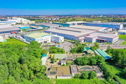ROX Group - Ảnh 1.