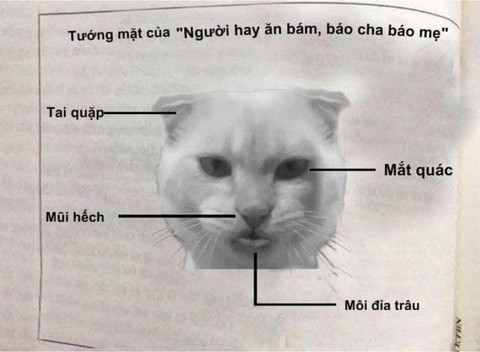 metro - Ảnh 3.