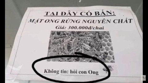 con ong - Ảnh 1.