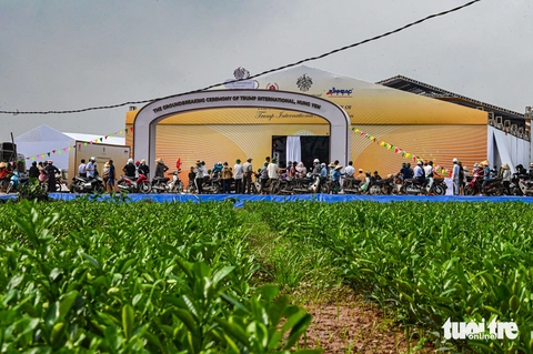 dự án - Ảnh 1.
