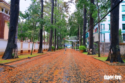 Trà Vinh - Ảnh 3.