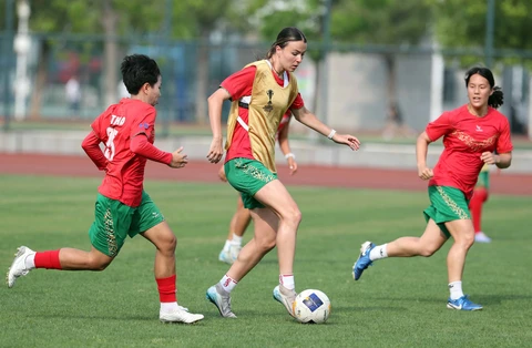 Chờ viết tiếp hành trình lịch sử - Ảnh 1. AFC Champions League - Ảnh 1.