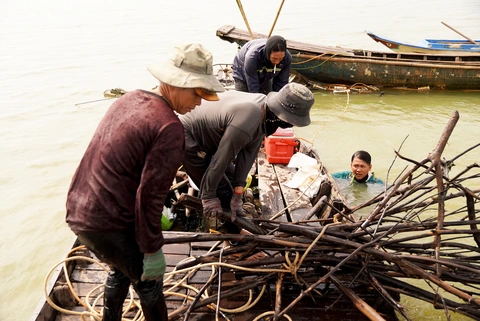 dầu tiếng - Ảnh 3.