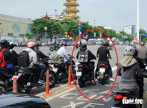 vạch mắt võng - Ảnh 5.