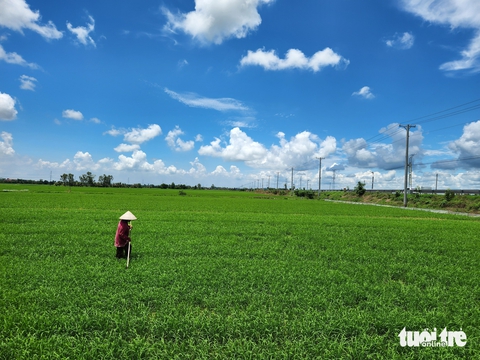 Chuyển cơ quan điều tra dự án khu đô thị Bình Mỹ bán nền 'ảo' - Ảnh 2.