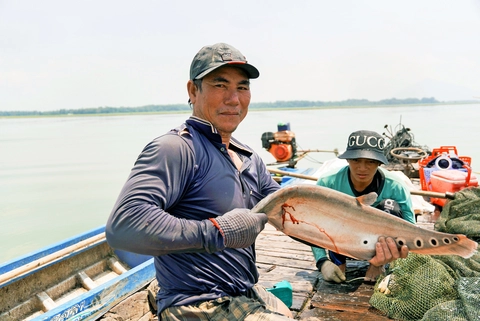 dầu tiếng - Ảnh 1.