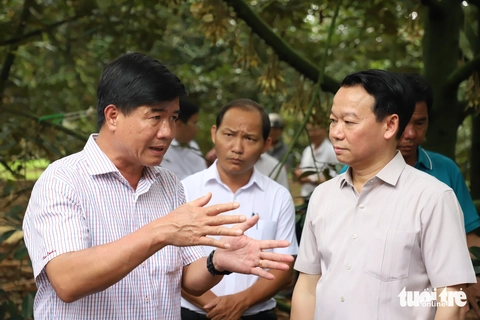 sầu riêng - Ảnh 3.