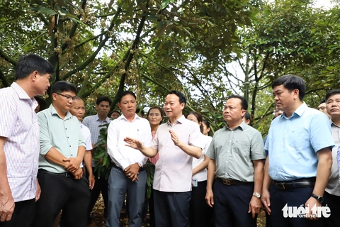 sầu riêng - Ảnh 1.