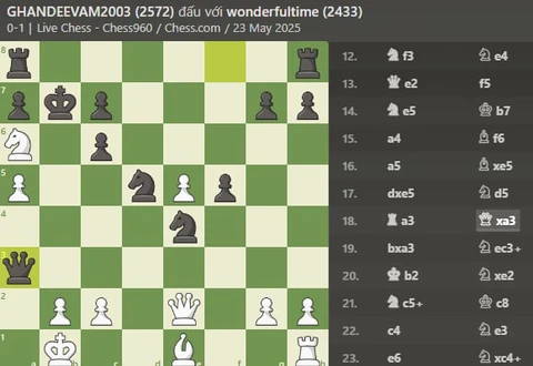 Đại kiện tướng Lê Tuấn Minh giành chức vô địch Freestyle Chess - Ảnh 3.