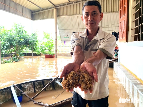 tài sản - Ảnh 3.