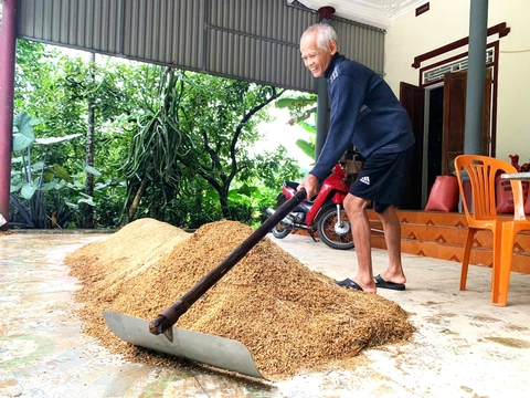 vụ mùa - Ảnh 4.