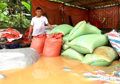 vụ mùa - Ảnh 5.