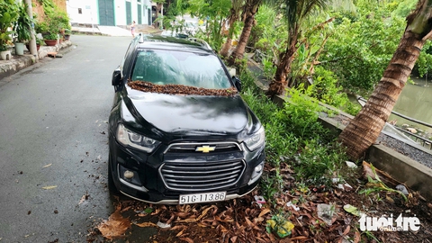 xe hơi - Ảnh 1.