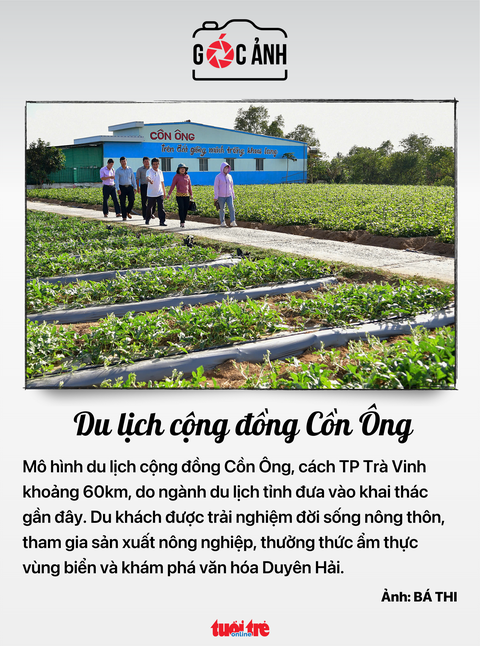 cổ phiếu - Ảnh 6.