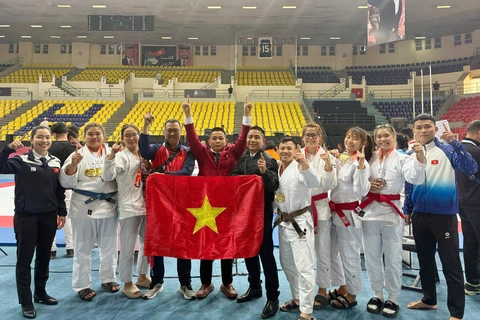 Jujitsu Việt Nam xếp hạng 3 châu Á - Ảnh 1. jujitsu Việt Nam - Ảnh 1.