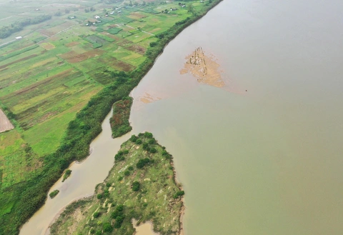 đấu giá - Ảnh 1.