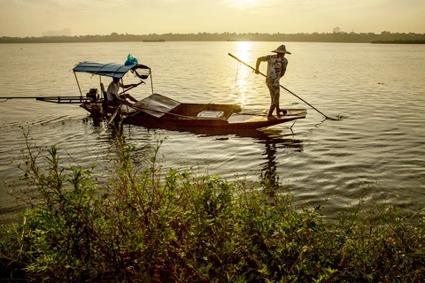 diệt cá - Ảnh 5.