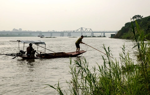 diệt cá - Ảnh 3.