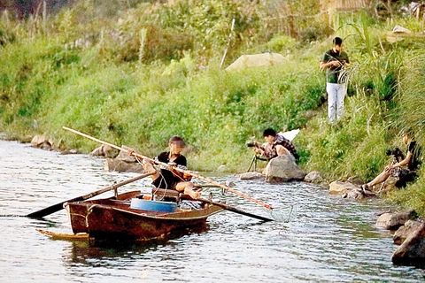 diệt cá - Ảnh 2.