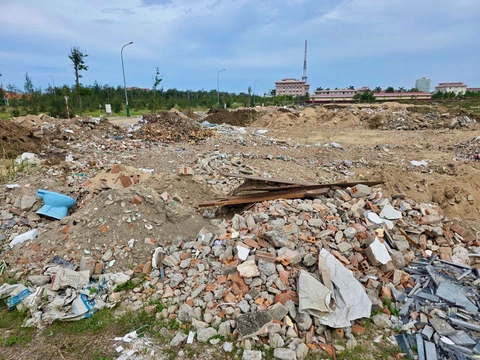xà bần - Ảnh 2.
