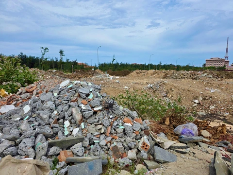 xà bần - Ảnh 1.