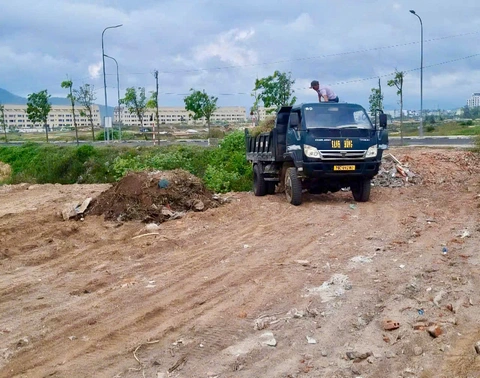 xà bần - Ảnh 4.