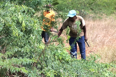 sa mạc hóa - Ảnh 1.