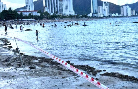 Nha Trang giăng dây phân vùng bờ biển để bảo vệ san hô Hòn Chồng - Ảnh 1. Hòn Chồng - Ảnh 1.
