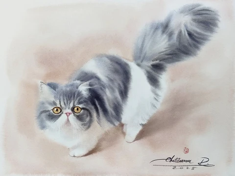 mèo - Ảnh 13.