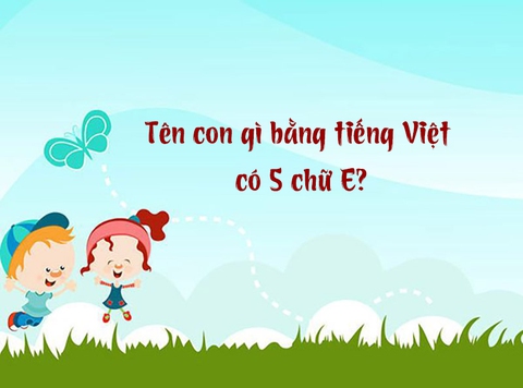 câu đố - Ảnh 1.