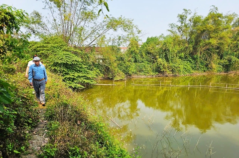 kinh thành Huế - Ảnh 1.