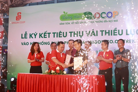 Vải thiều Lục Ngạn - Ảnh 1.