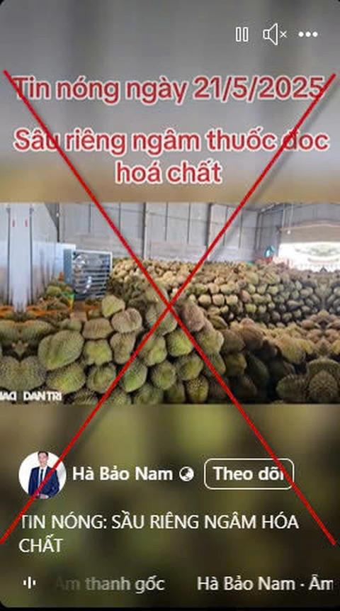 sầu riêng - Ảnh 1.