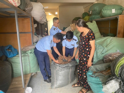 Phát hiện hơn 2.000 mỹ phẩm không rõ nguồn gốc tại Buôn Ma Thuột ngày đầu kiểm tra - Ảnh 3.