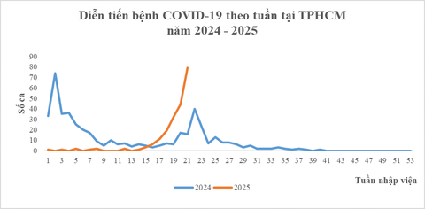 COVID-19 - Ảnh 1.
