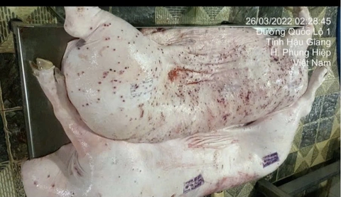 chăn nuôi C.P - Ảnh 1.