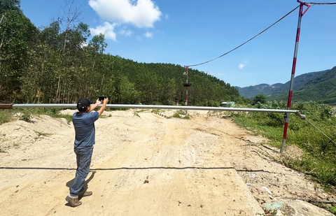 cát - Ảnh 2.