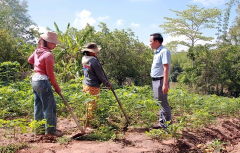 'Câu lạc bộ' ôn thi miễn phí cho học sinh - Ảnh 2. 'Câu lạc bộ' ôn thi miễn phí cho học sinh - Ảnh 2.