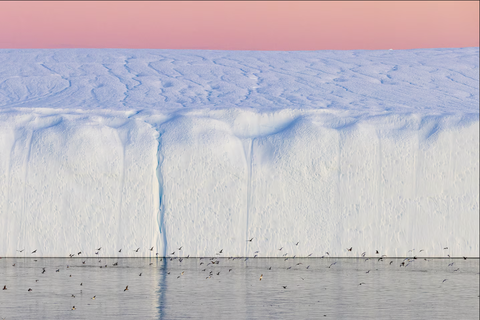 National Geographic - Ảnh 10.
