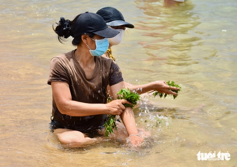 Mang lá 'xả xui' ùa xuống biển tắm giữa trưa Tết Đoan ngọ - Ảnh 4.