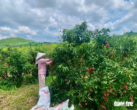 Phú Yên - Ảnh 1.
