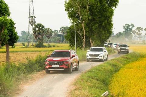 Ford Territory - Ảnh 2.