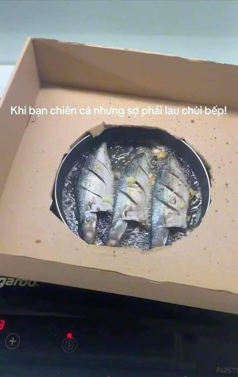 văn phòng - Ảnh 2.