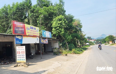 cá cược - Ảnh 1.