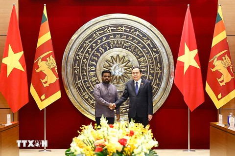 Sri Lanka - Ảnh 2.