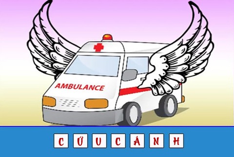 đuổi hình bắt chữ - Ảnh 2.