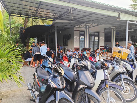 đá gà - Ảnh 1.