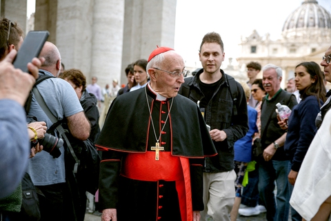 133 hồng y bầu giáo hoàng tiếp theo đã tề tựu tại Rome - Ảnh 1.